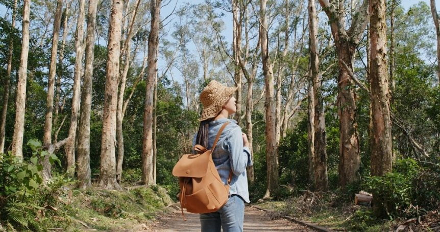 Woman in woods looking at trees