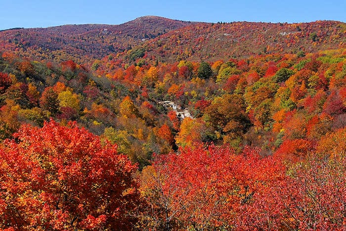 Blue Ridge fall foliage